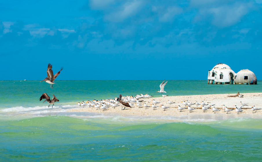 Marco Island , Florida, United States